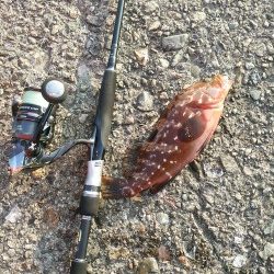 プチロックフェス！