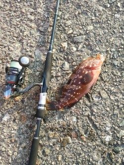 プチロックフェス！