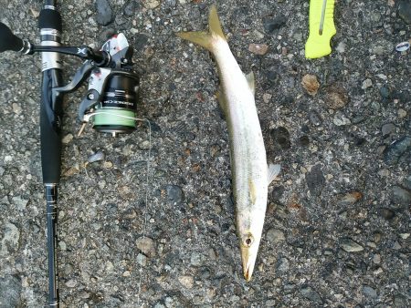 今日はどうか？