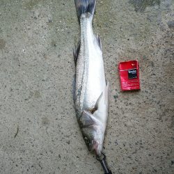 フックをチェンジして！