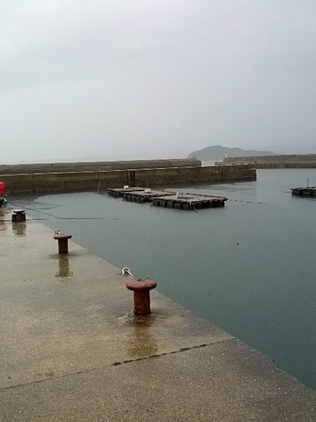 雨中のふかせ釣り