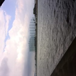 武庫川ハゼ釣りレポート2015①