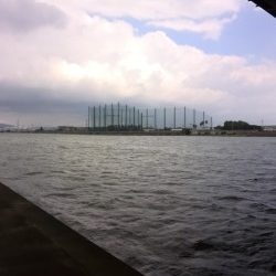 武庫川ハゼ釣りレポート2015①