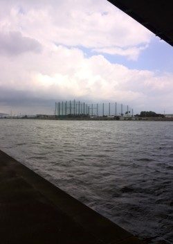 武庫川ハゼ釣りレポート2015①