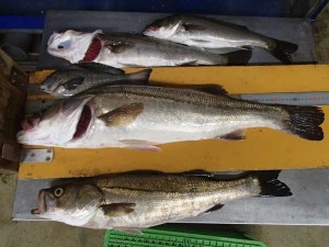 長かったです。