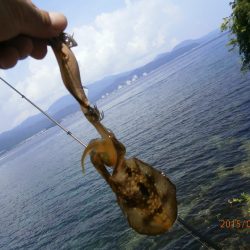 すくすく成長中