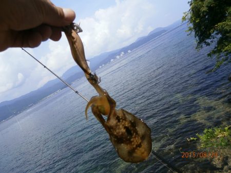 すくすく成長中