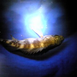 雨の後の中島埠頭