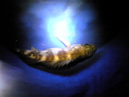 雨の後の中島埠頭