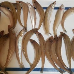 満足サイズのキス♪