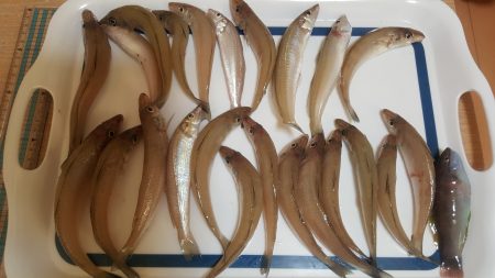 満足サイズのキス♪