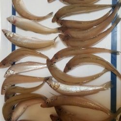 満足サイズのキス♪