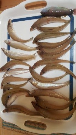 満足サイズのキス♪