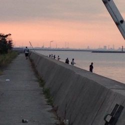 2匹目のドジョウのはずが？