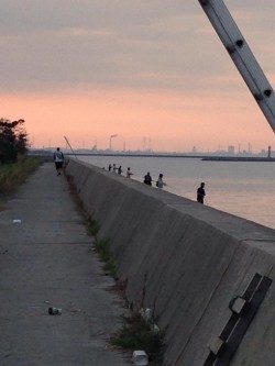 2匹目のドジョウのはずが？