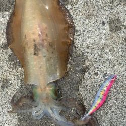 まだいてくれた