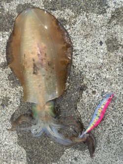 まだいてくれた