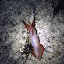 何とか粘って…