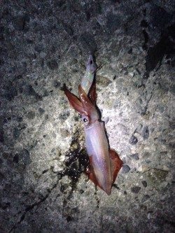 何とか粘って…