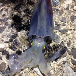 「ねぇ、僕にもできたよー！」