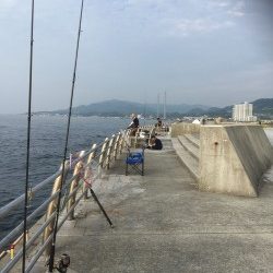 淡路島プチ遠征