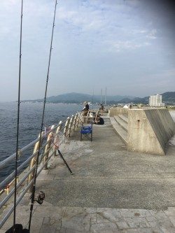 淡路島プチ遠征