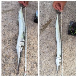 メッキ調査第2弾