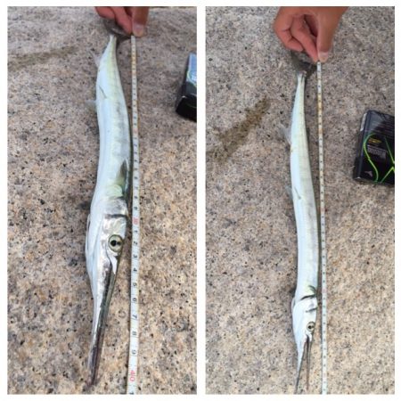 メッキ調査第2弾