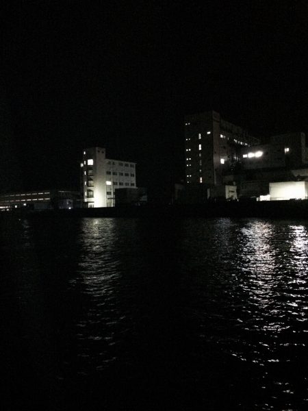 地元ケンサキイカ