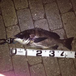 ボトムをコロコロ