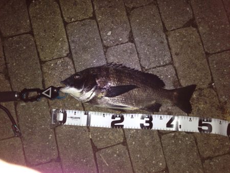 ボトムをコロコロ