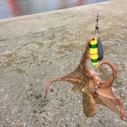 2日続けての釣行