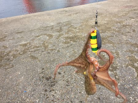 2日続けての釣行