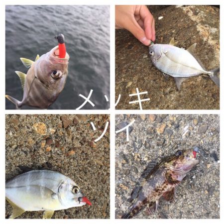 メッキ調査第3弾