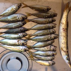 ターゲットを狙い撃ち！