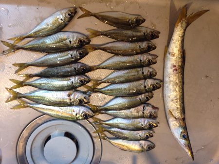 ターゲットを狙い撃ち！