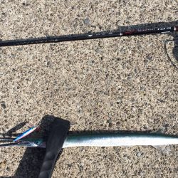 マイクロジギング、アジング