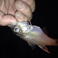 備えあれば憂いなし