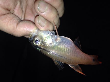 備えあれば憂いなし