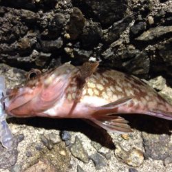 ターゲットを間違ったべ。