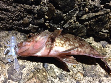 ターゲットを間違ったべ。