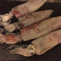 ライトエギング