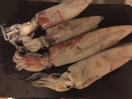 ライトエギング