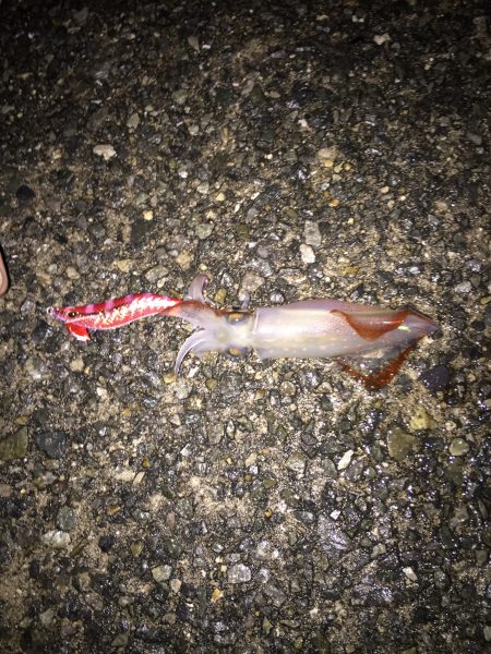 雨のアジュール舞子