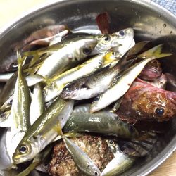 夜釣りin日本海