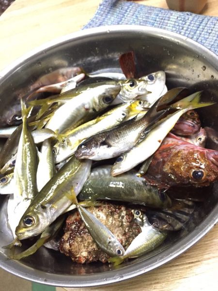 夜釣りin日本海