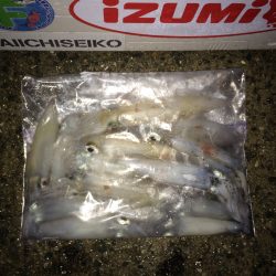 ライトエギングで剣先狙い