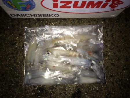 ライトエギングで剣先狙い