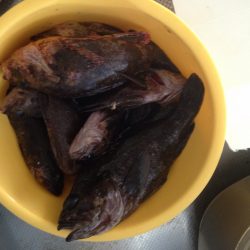 穴釣りは鉄板！