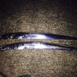 沖堤防でワインド♪